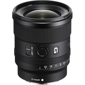 SEL20F18G (フィルターオマケ付) Amazon.co.jp: SONY(ソニー) 【レンズ と 純正プロテクター